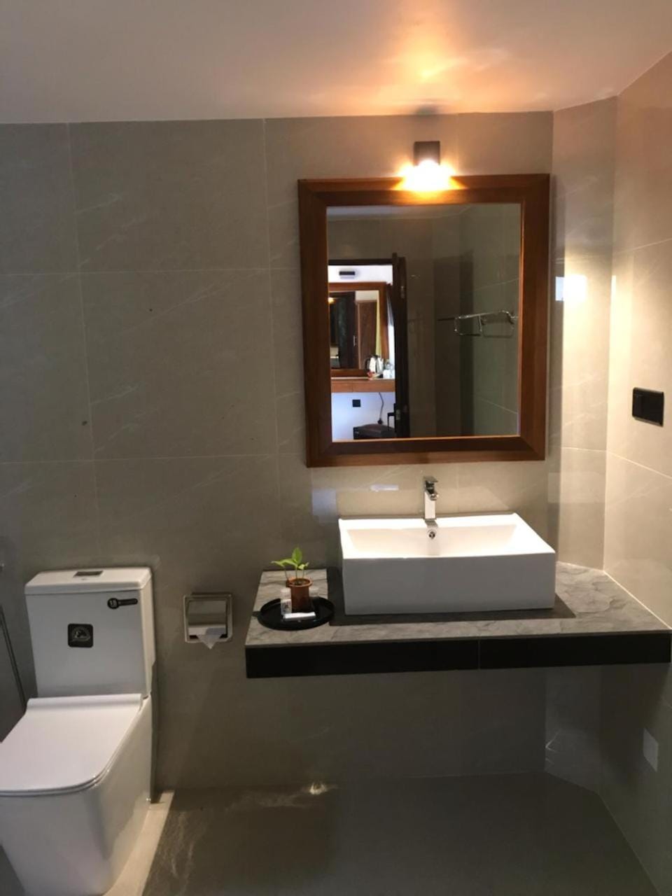 Toilet, Bathroom