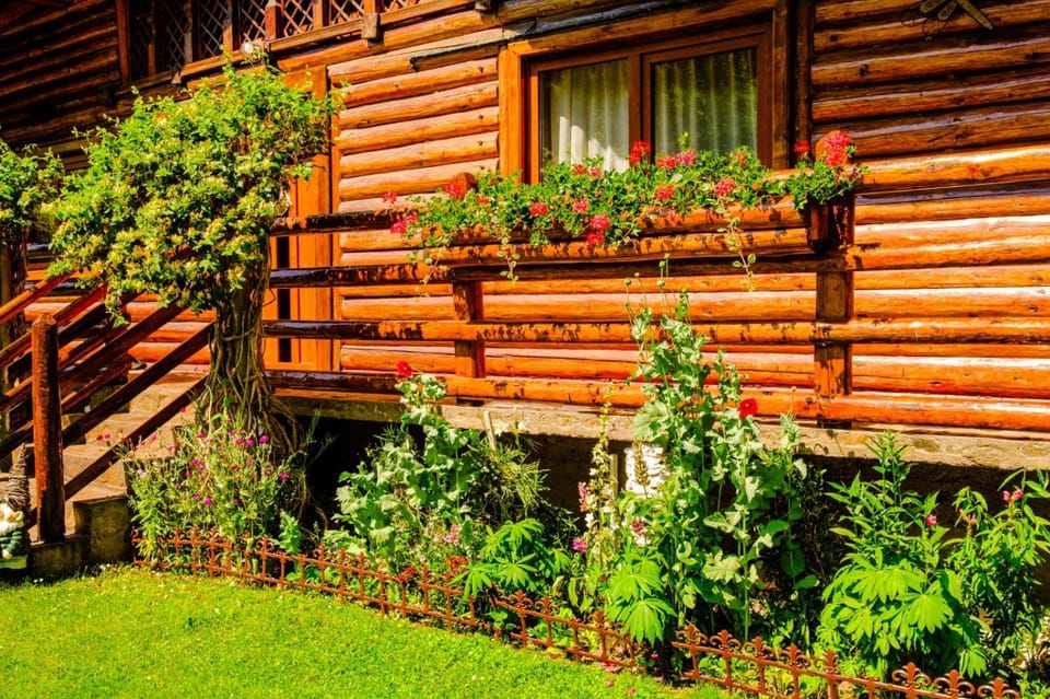 Casa Bunicii Bed and Breakfast in Romania