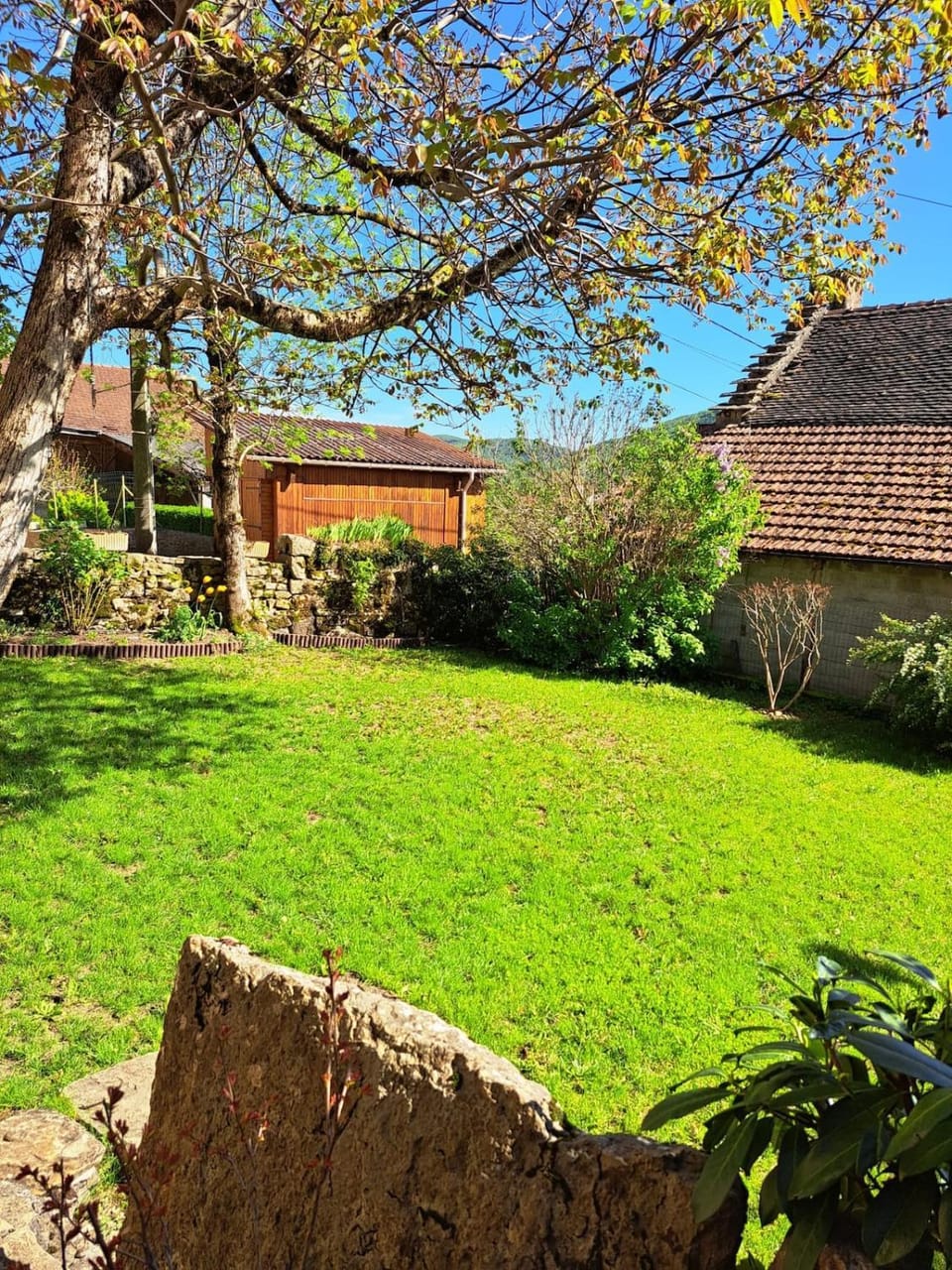 Natural landscape, Garden, Garden view