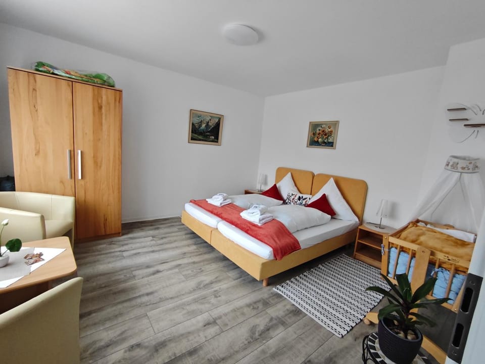 Piroska Pension Apartment in Erzgebirgskreis