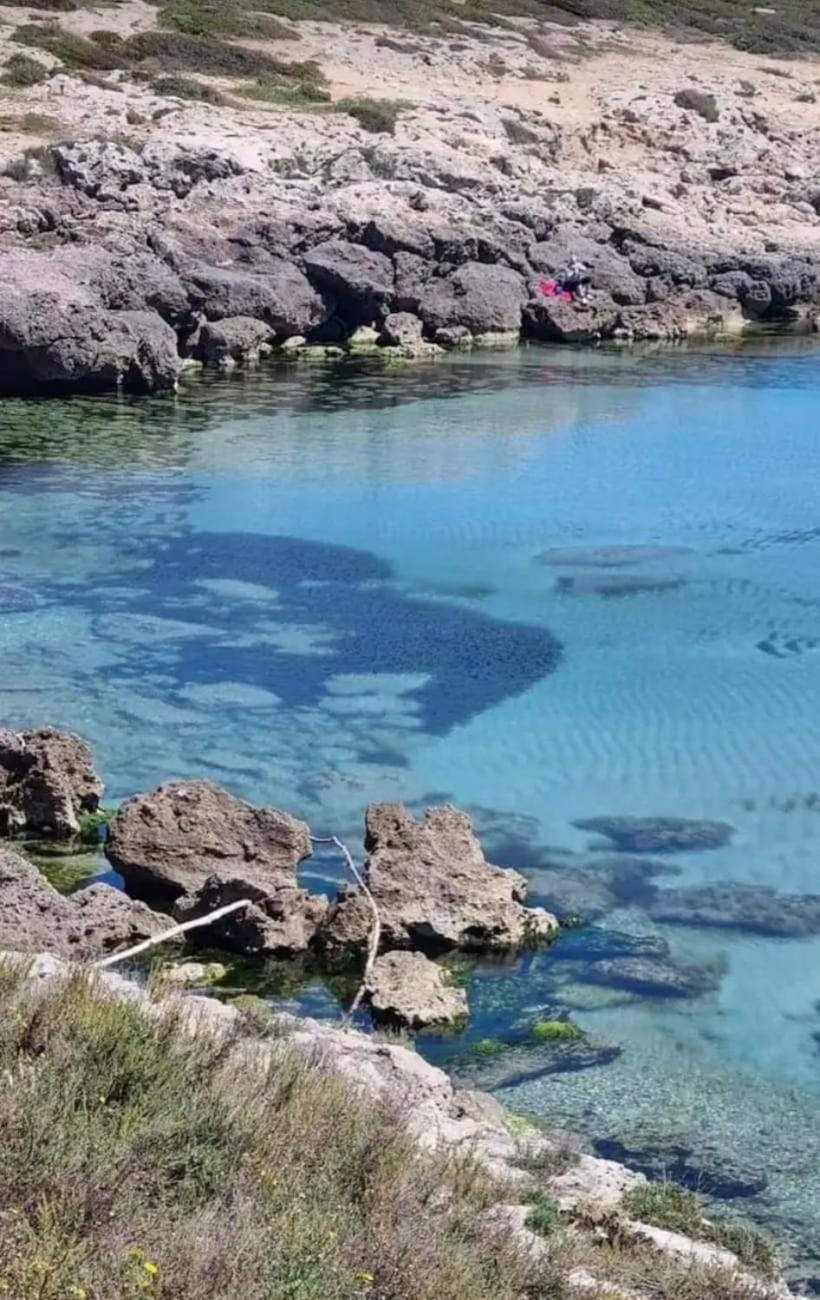 Camera con Bagno ingresso autonomo Bed and Breakfast in Province of Taranto