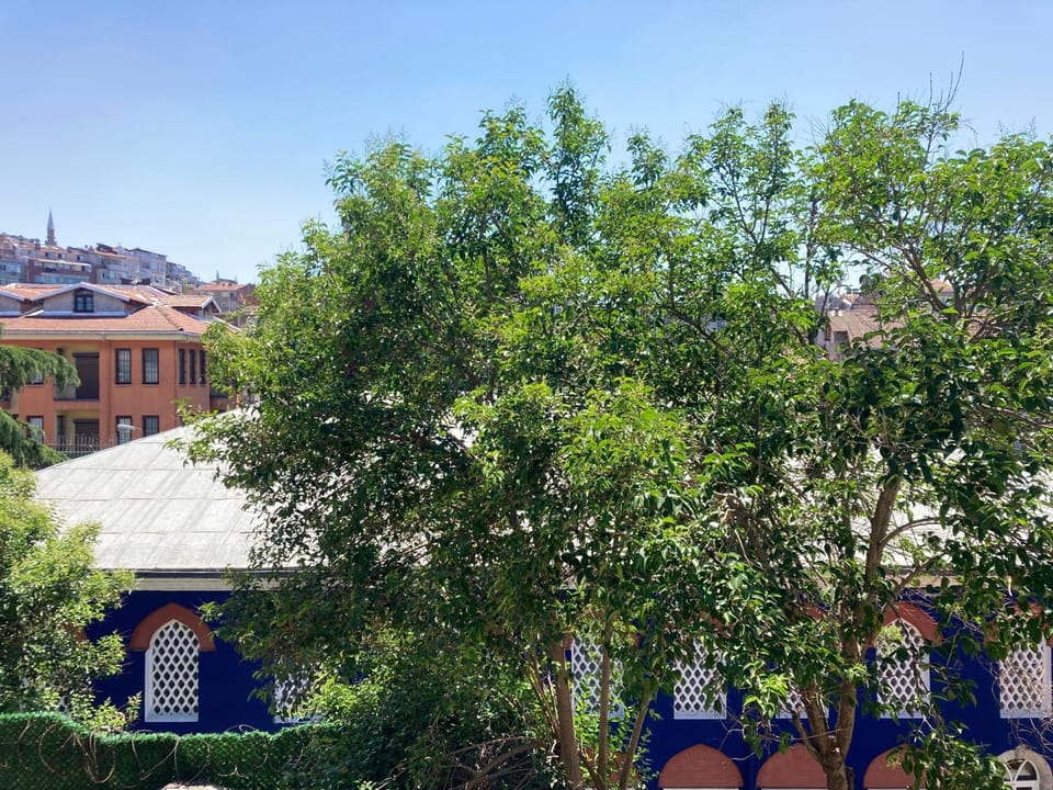 Property building, Spring, Day, Garden, City view, Garden view