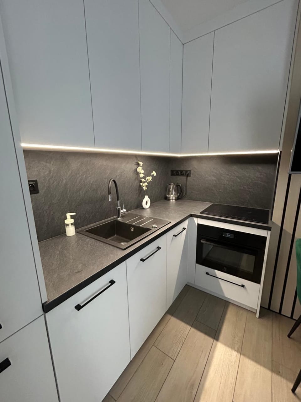 Kitchen or kitchenette, dishwasher, minibar, pet friendly, stove