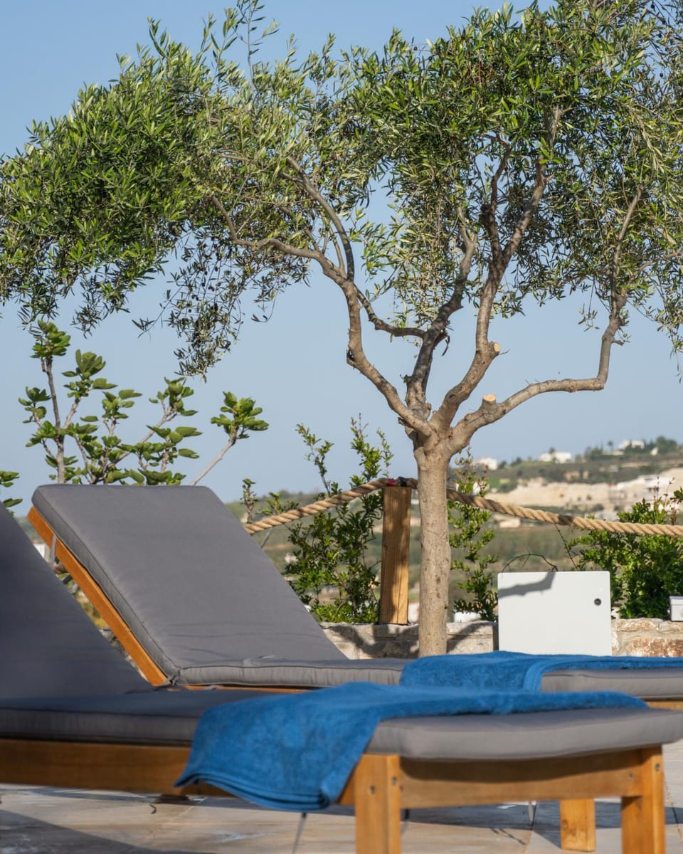Natural landscape, View (from property/room), sunbed