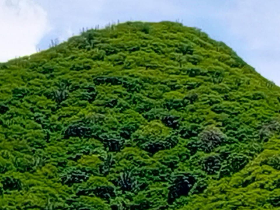 Mountain view