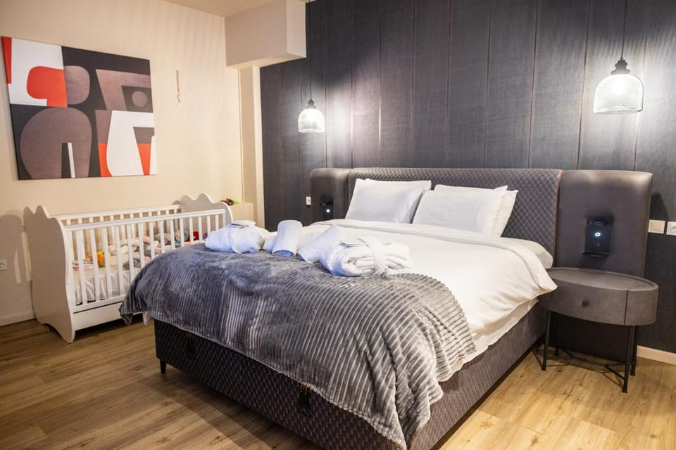 Omega Suites 31 Apartment in Trikala