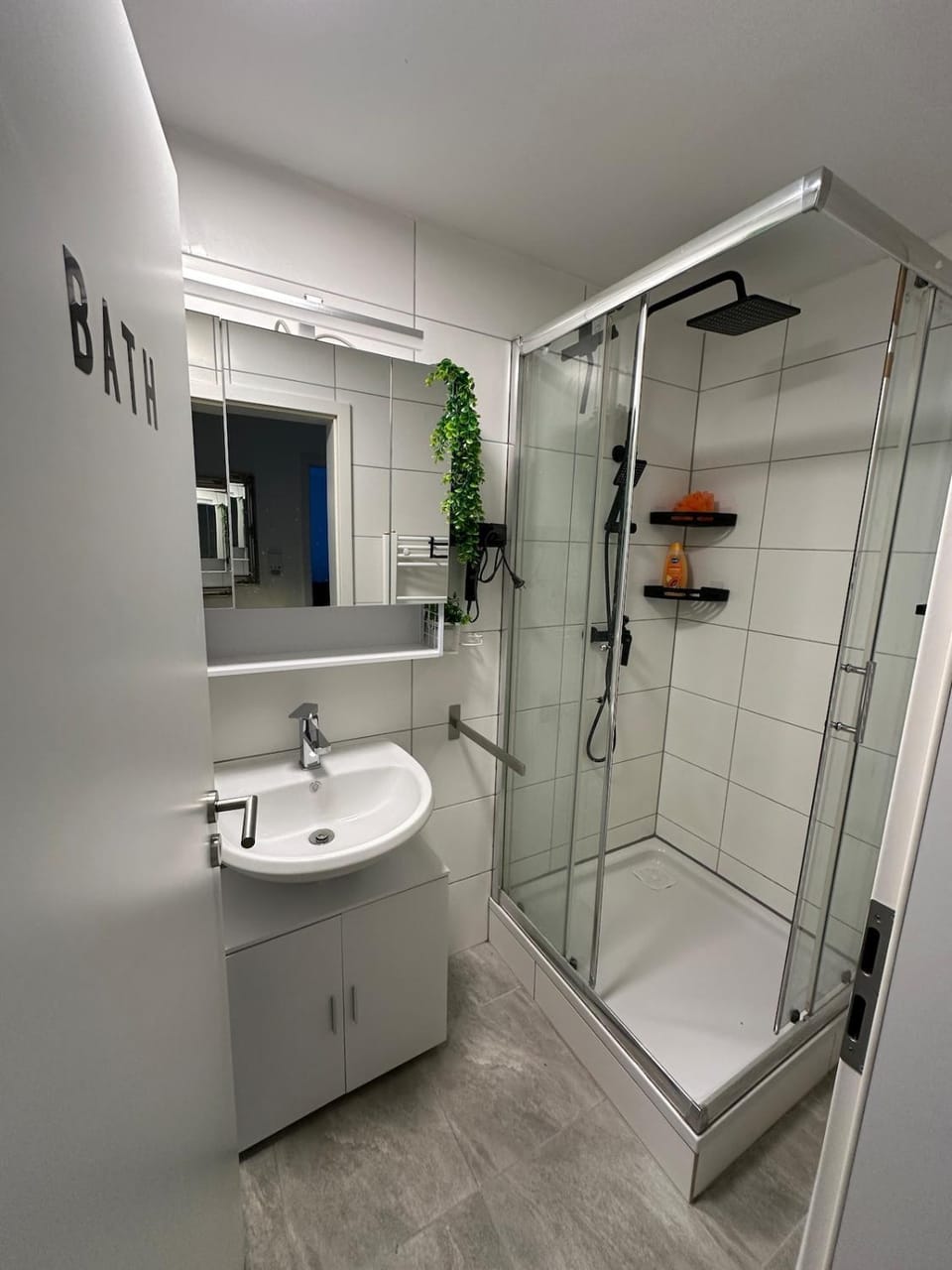 Renovated Room for 2 Apartment in Baden-Baden