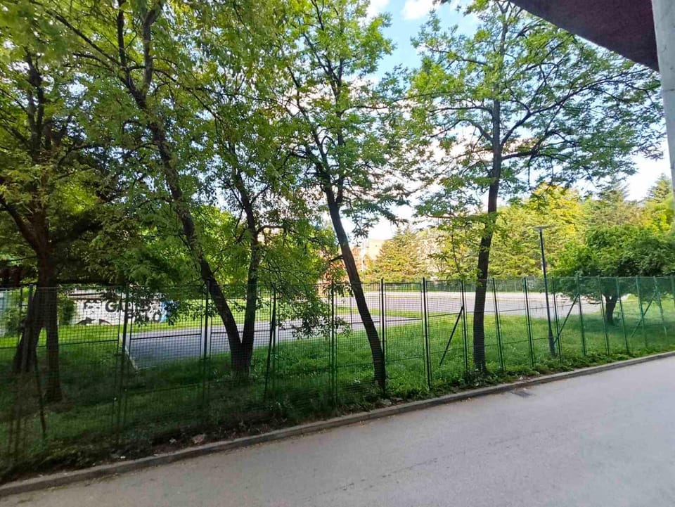 Garden view