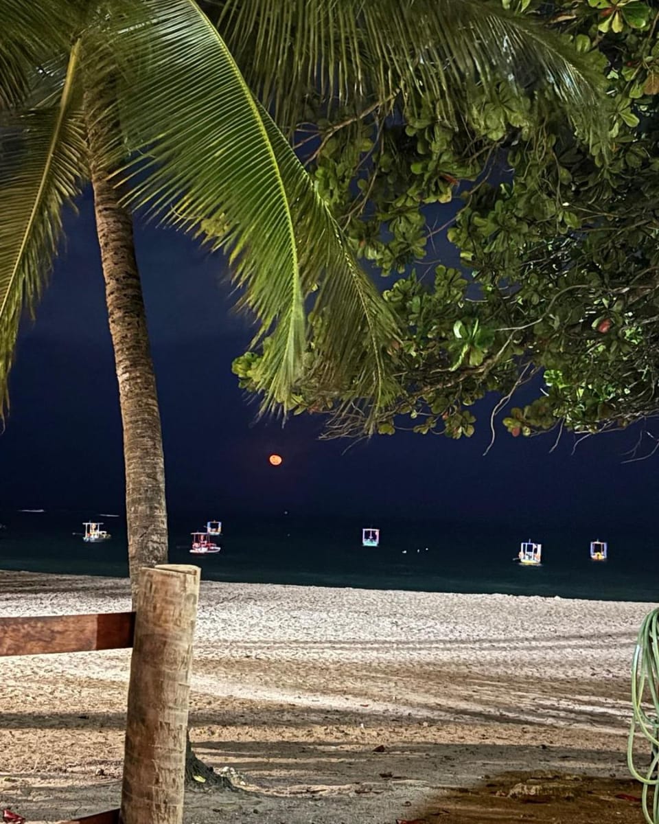 Property building, Beach