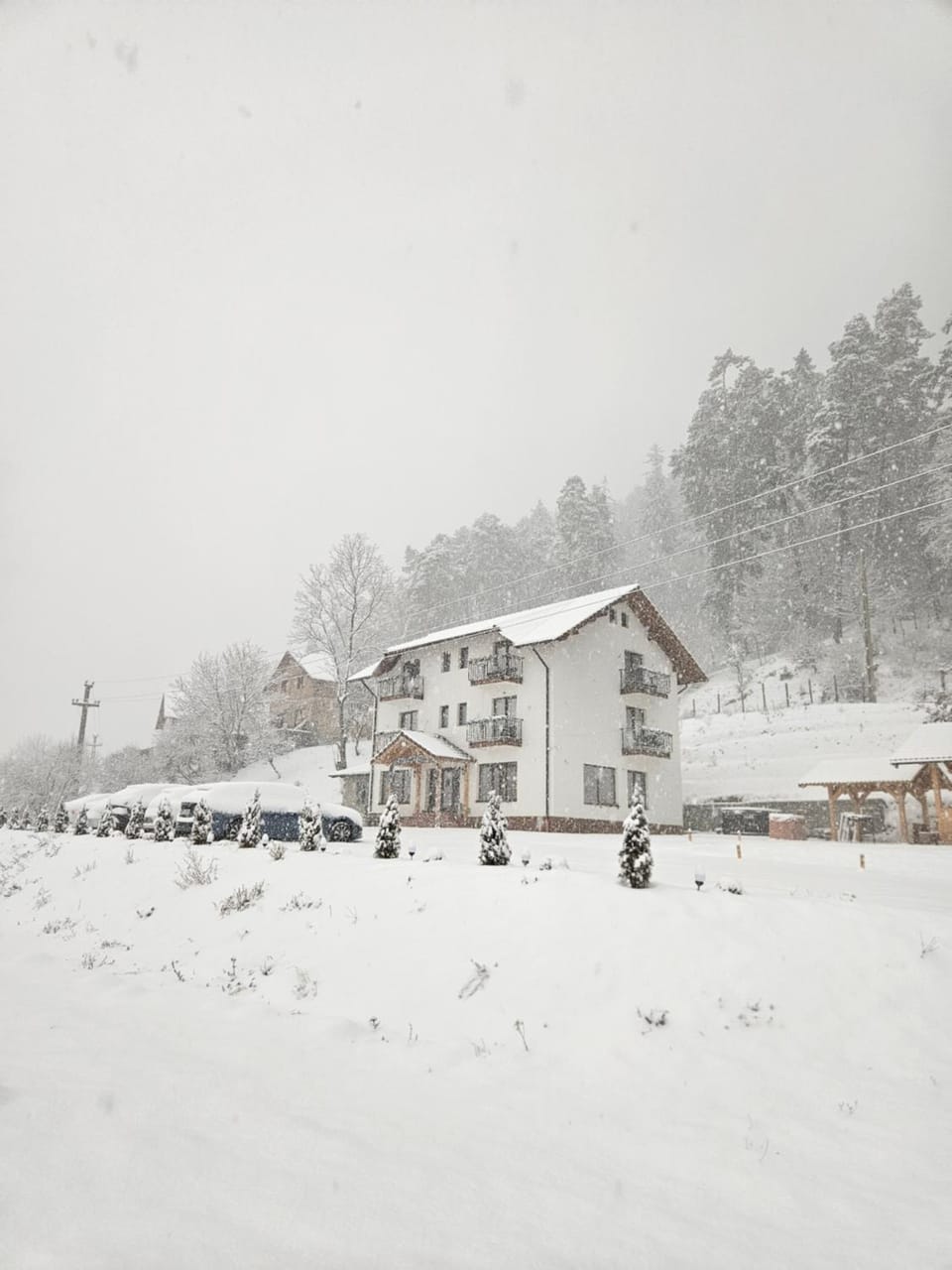 Vila de Sub Pădure Bed and Breakfast in Brașov County