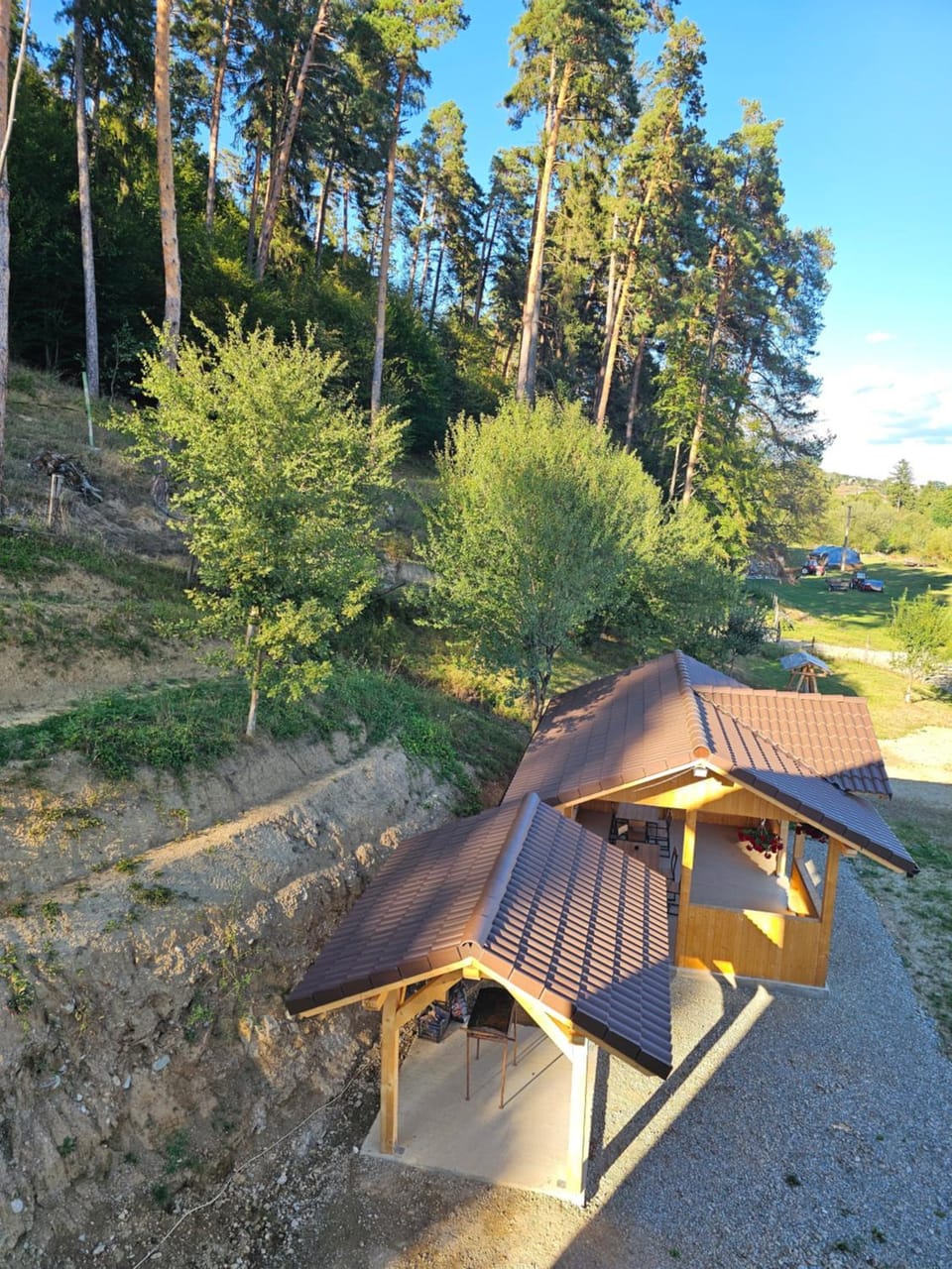 Vila de Sub Pădure Bed and Breakfast in Brașov County
