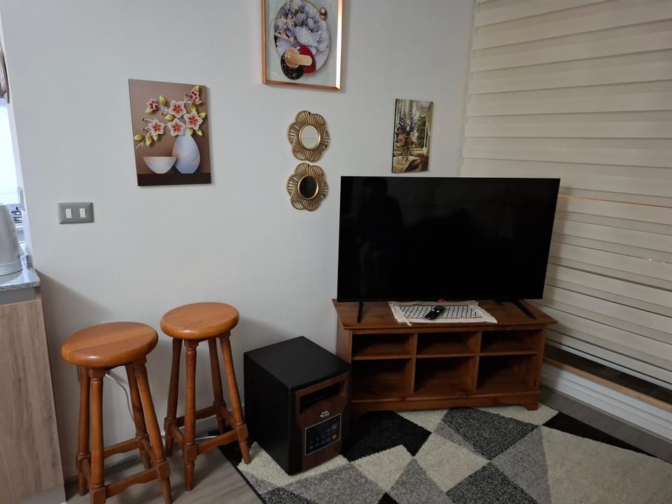 TV and multimedia