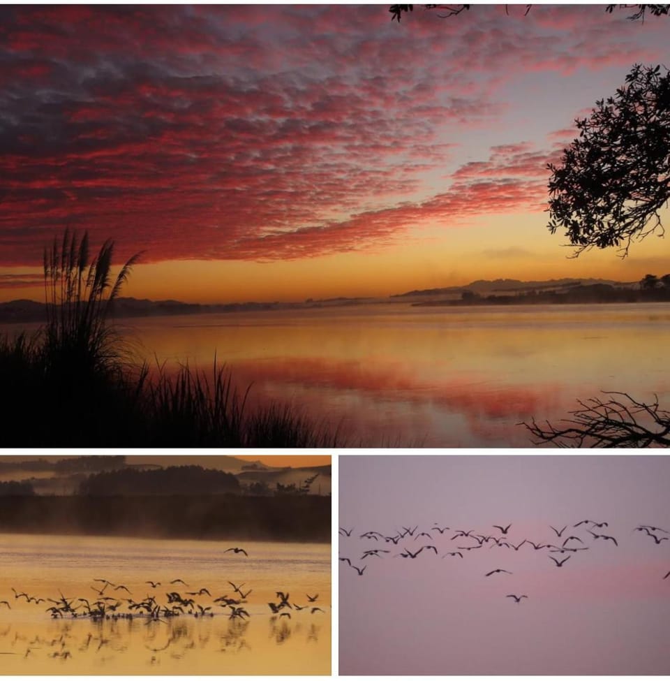 Natural landscape, Sunrise, Sunset