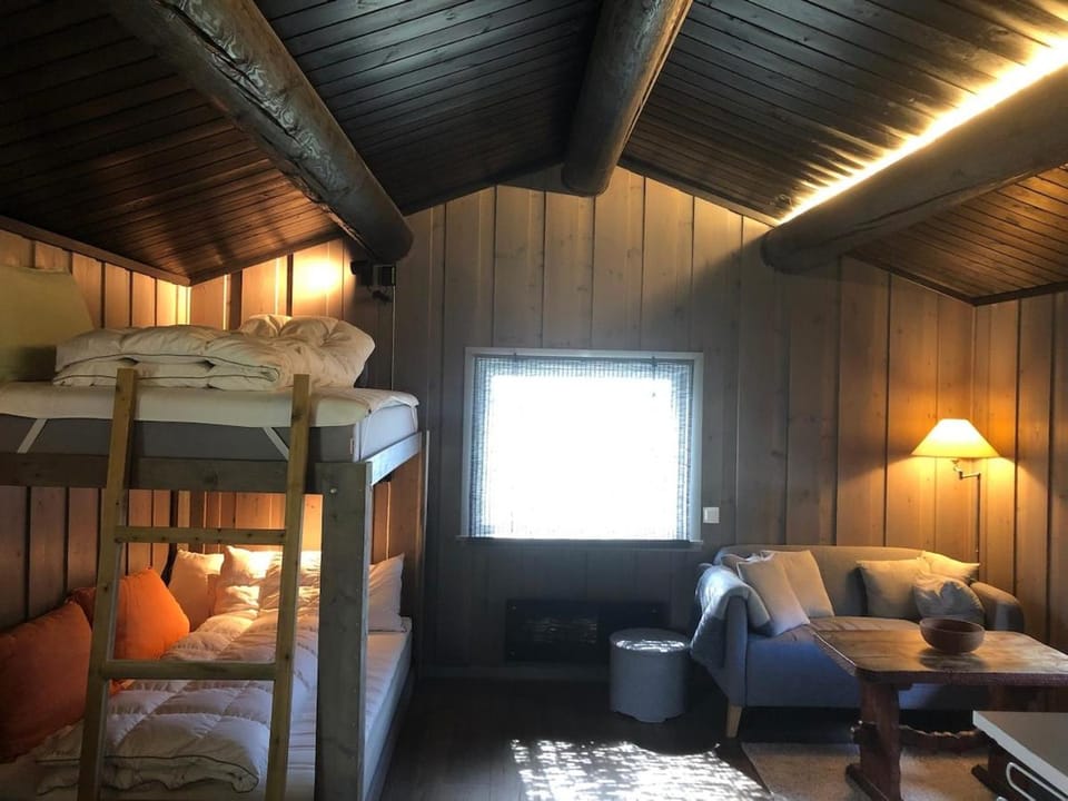 Cozy cabin 1,5 hours from Oslo Cabin in Viken, Norway