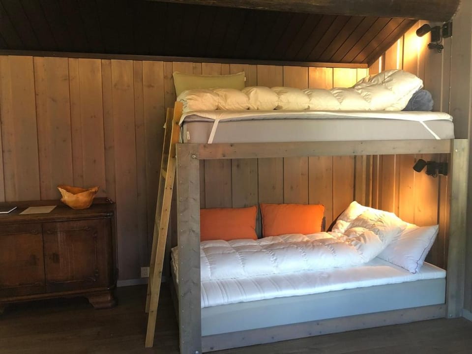 Cozy cabin 1,5 hours from Oslo Cabin in Viken, Norway