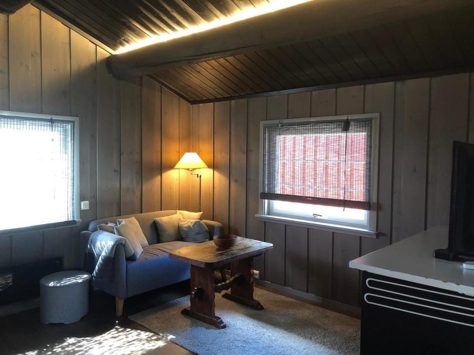 Cozy cabin 1,5 hours from Oslo Cabin in Viken, Norway