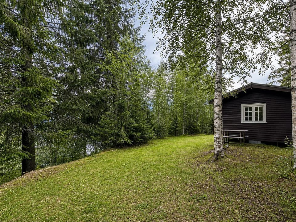 Property building, Garden, Garden view