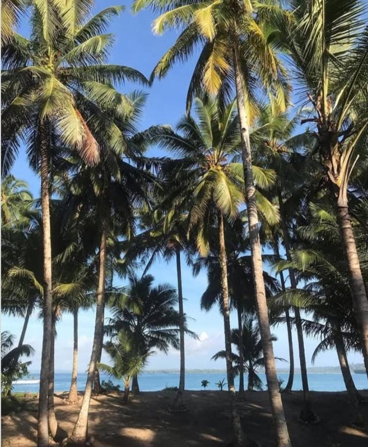sunsetlodge Mentawai Vacation rental in West Sumatra, Indonesia