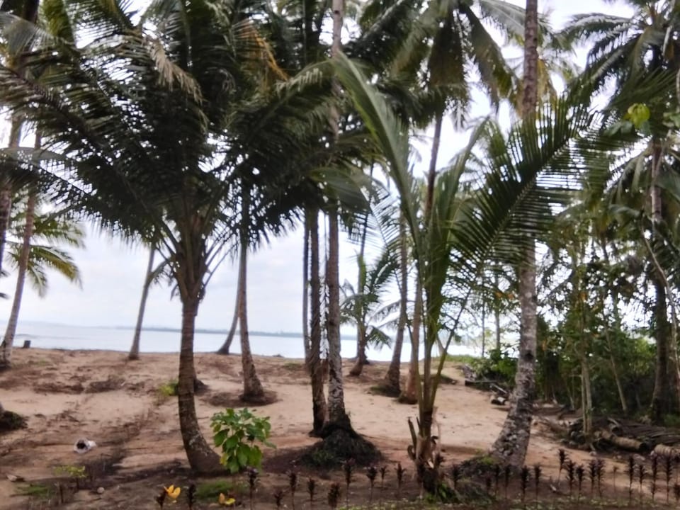 sunsetlodge Mentawai Vacation rental in West Sumatra, Indonesia