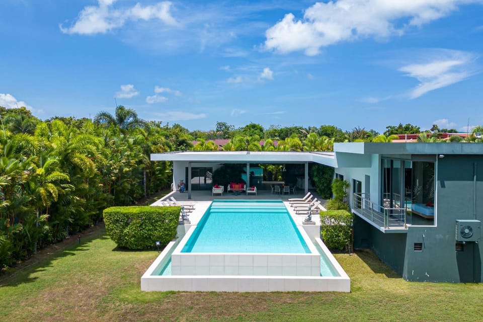 Day, Garden, Garden, Swimming pool, Swimming pool, sunbed