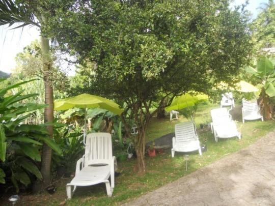 Garden view, sunbed