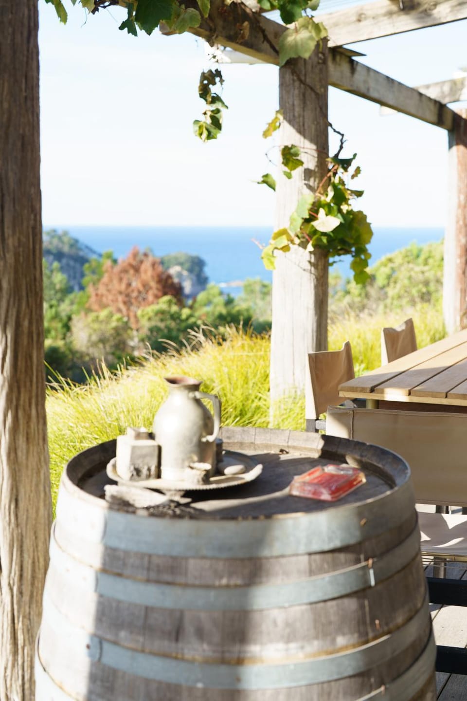 Above the Bay House in Auckland Region