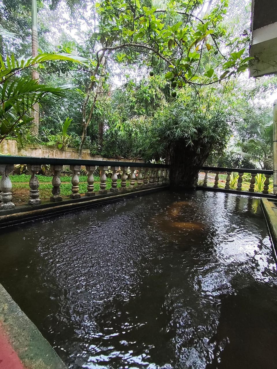 Ayuvilla Villa in Ahangama