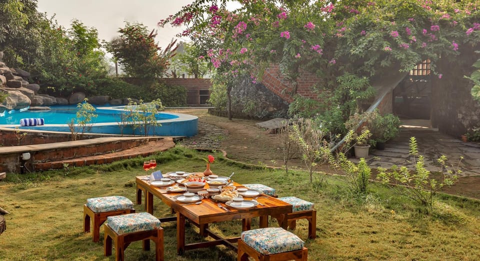 Patio, Spring, Day, Natural landscape, Garden, Food and drinks, Dining area, Food, Garden view, Pool view, Swimming pool, sunbed