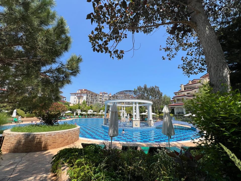 Garden, Swimming pool, sunbed