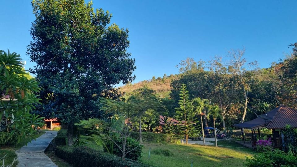 Garden, Garden view, Garden view