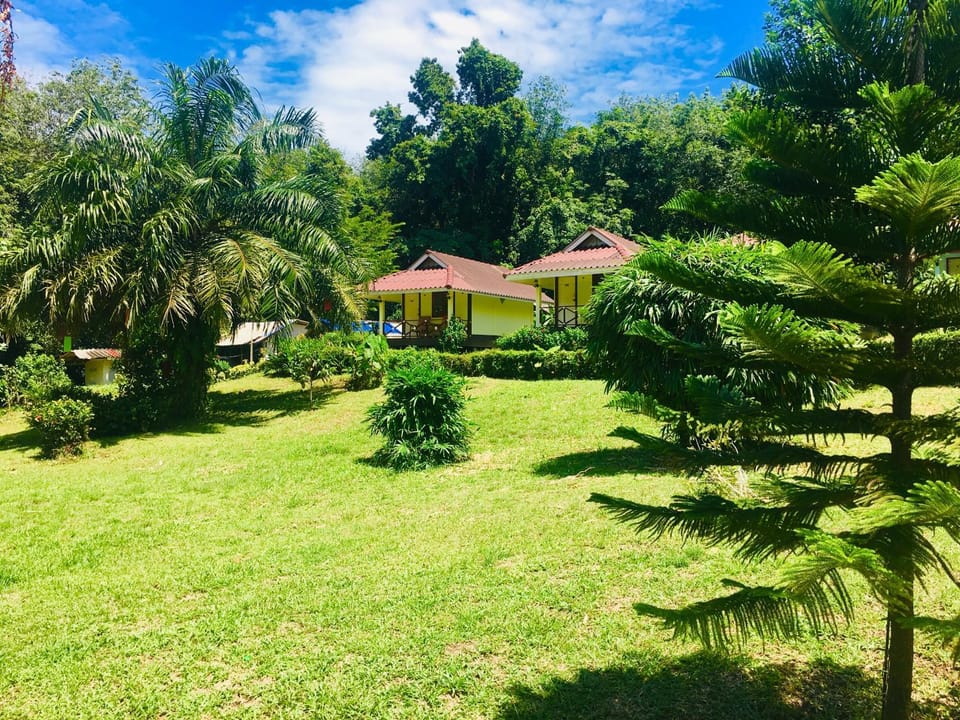 Natural landscape, Garden, On site, Garden view