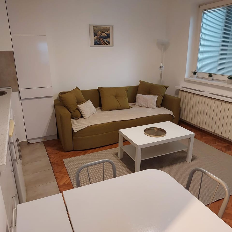 Epicentar Apartment in Novi Sad