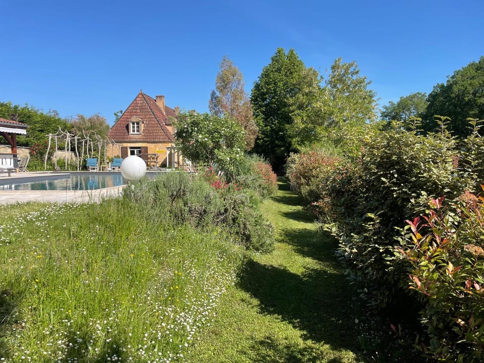 Day, Summer, Garden, Swimming pool