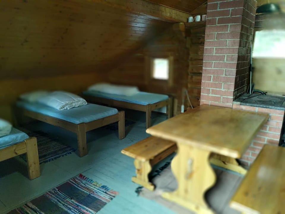 Ahti's Cabin Cabin in Finland