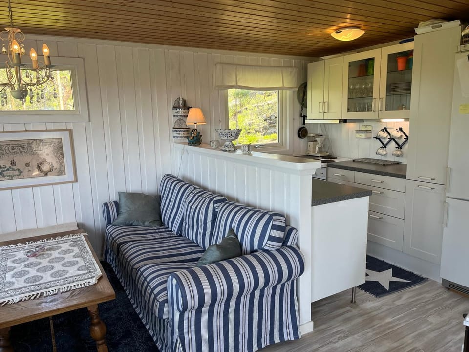 Living room, kitchen, kitchen