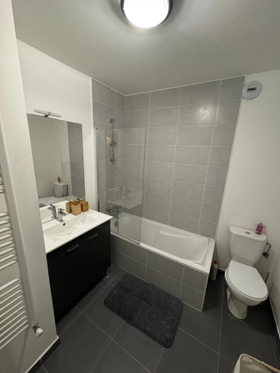 Studio Leman Ciel avec parking privé gratuit Apartment in Gex