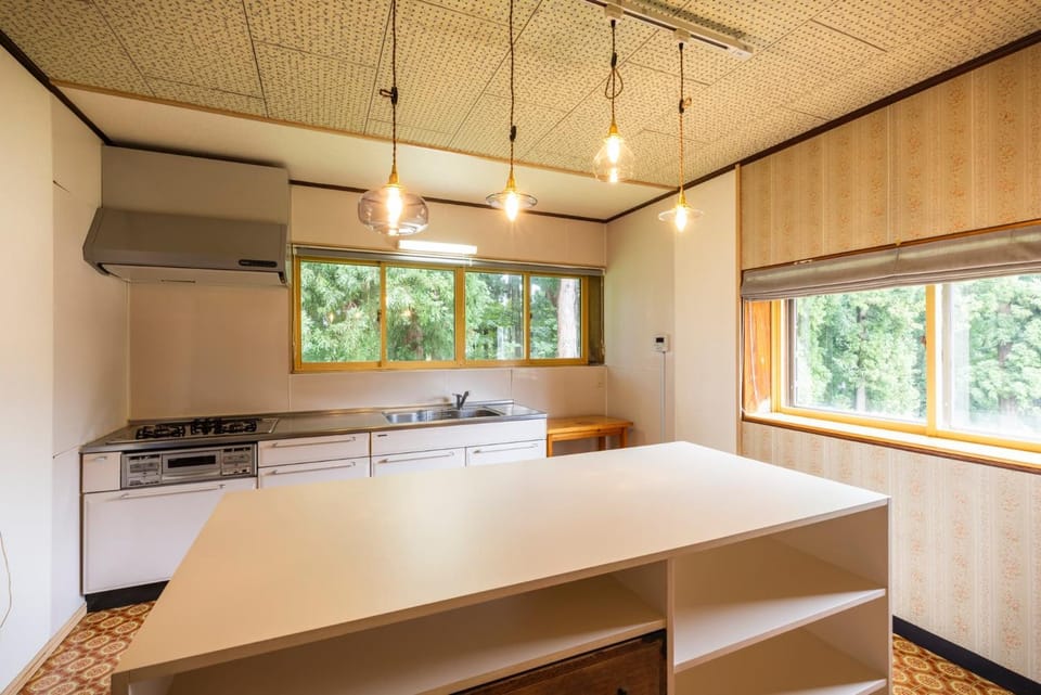 Kitchen or kitchenette, kitchen
