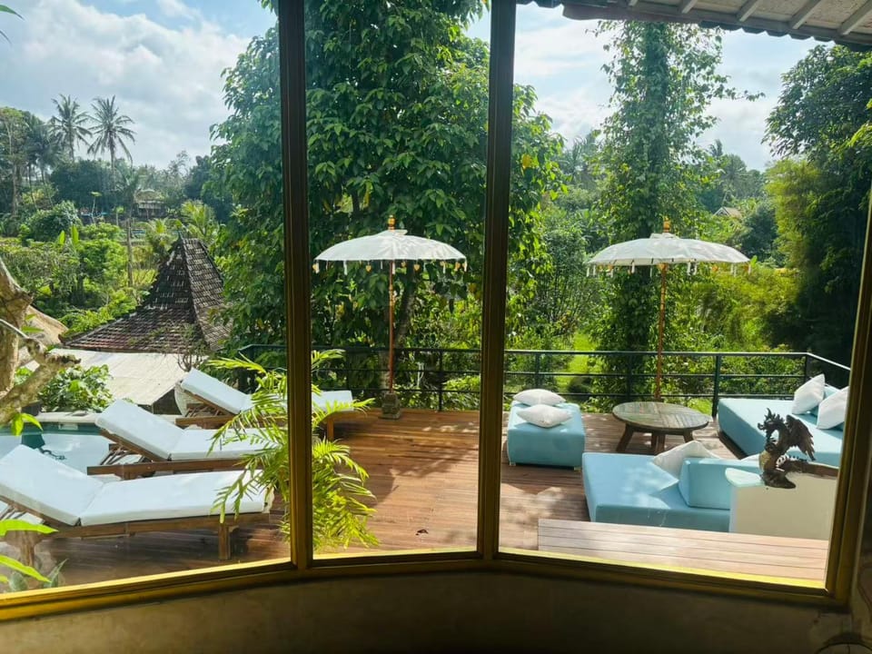 View (from property/room)