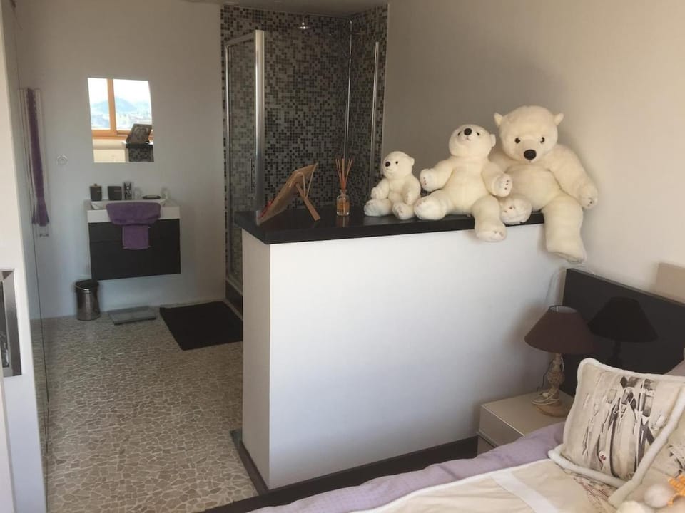 Fantastic appart ski aux pieds Apartment in L'Alpe d'Huez