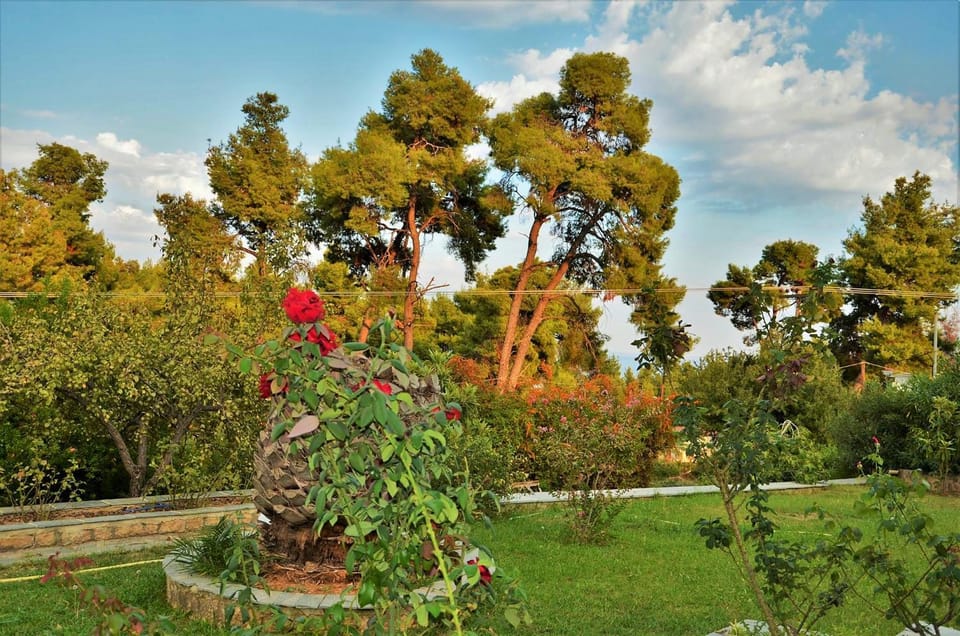 Green, White & Guest Houses by Dimitrios Ballas in Kriopigi, Halkidiki, Greece House in Halkidiki