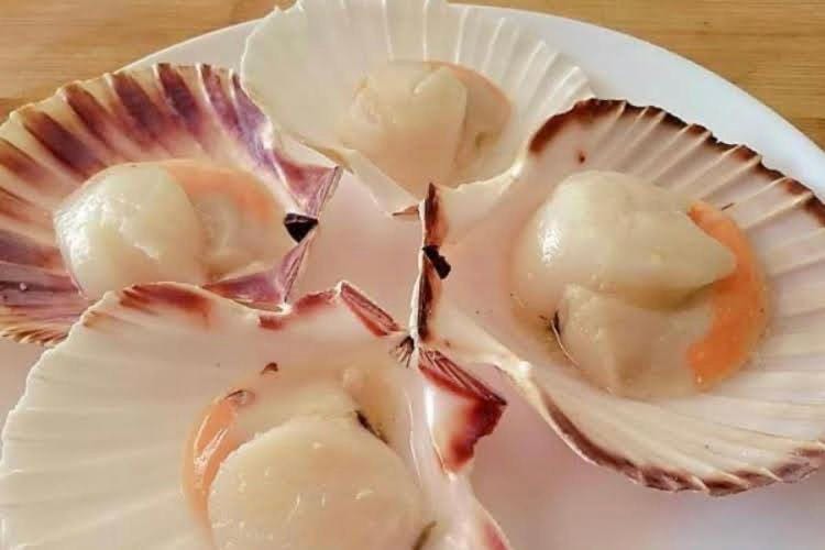 Alugo barco intermarine 440 Docked boat in Angra dos Reis