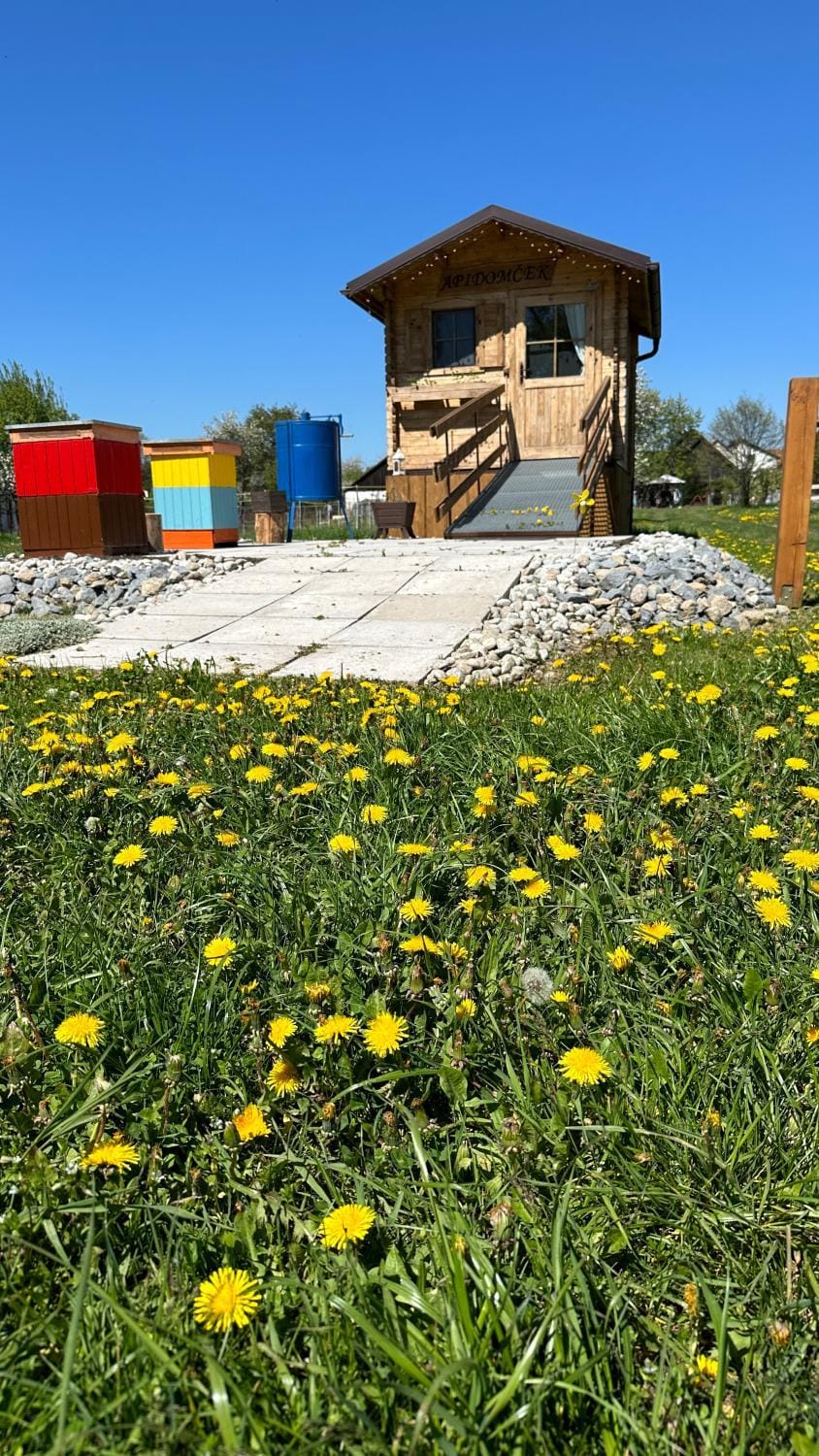 Property building, Spring