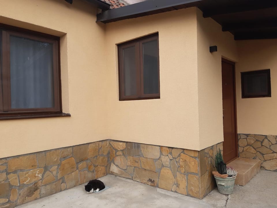 Surčin Grape Vine Apartments Apartment in Vojvodina