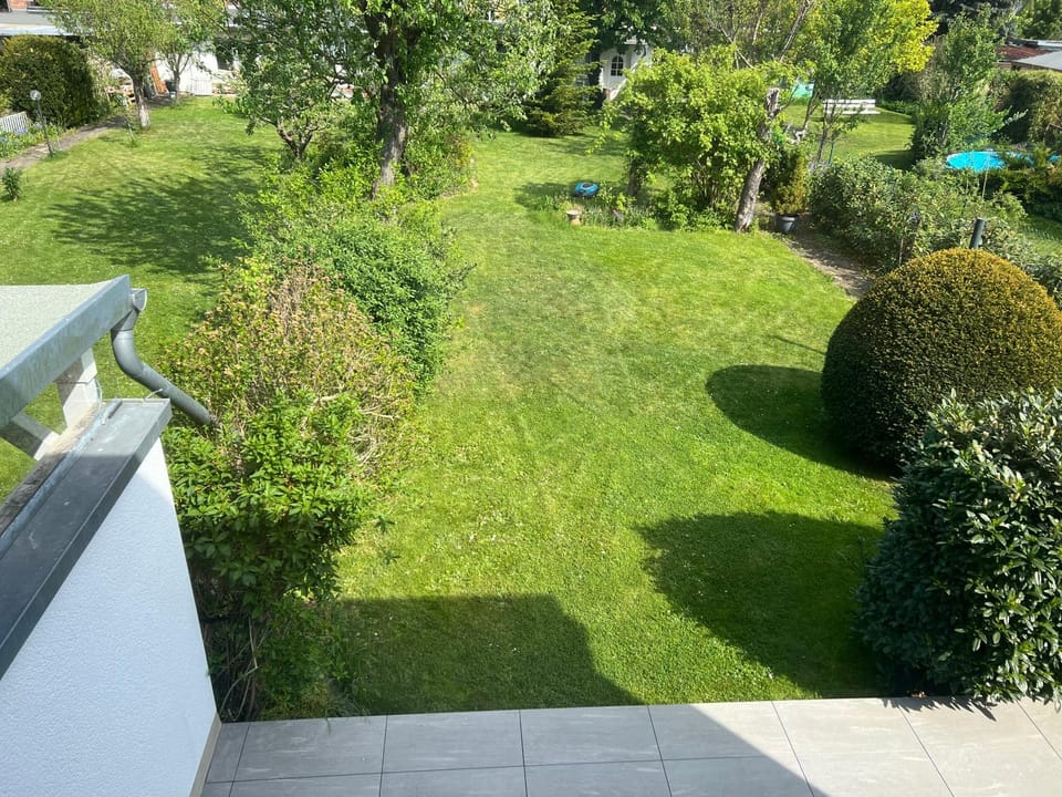 Garden view