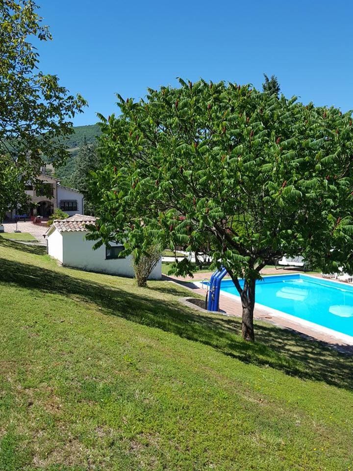 Pool view
