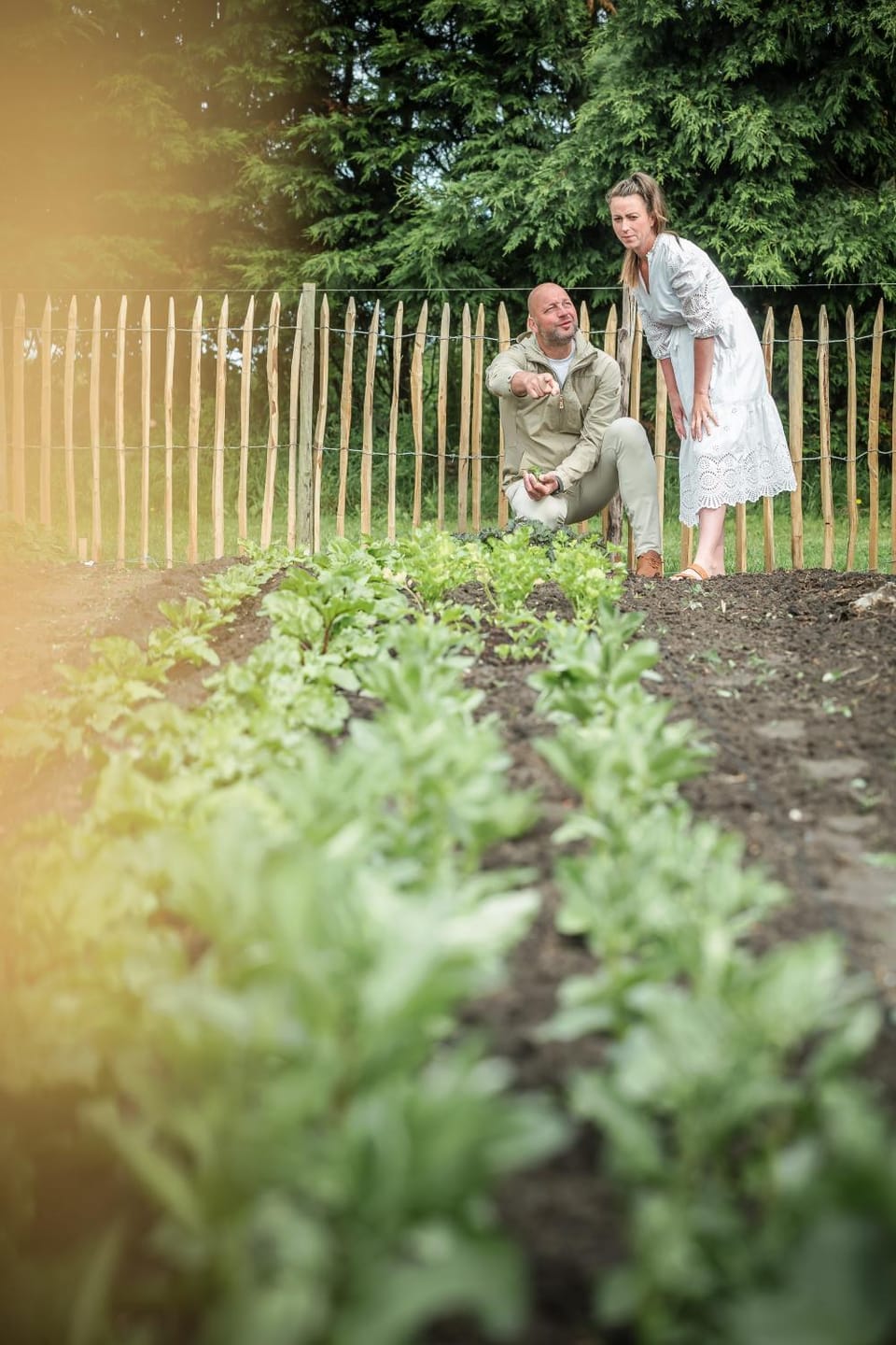 Day, People, Garden, Guests, Garden view