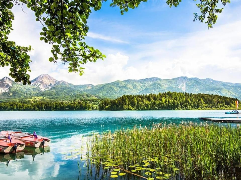 BlueBird Apartments Bed and Breakfast in Villach