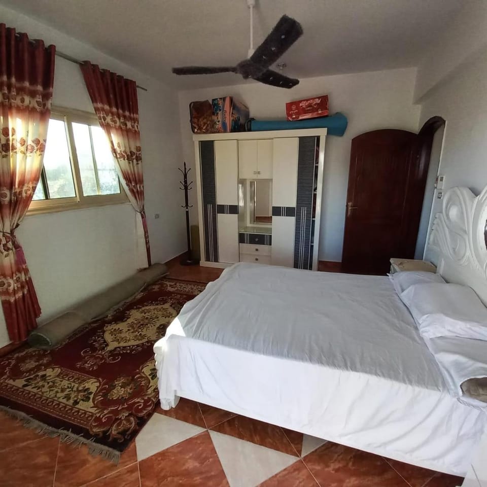 Banana Guest House Bed and Breakfast in Luxor