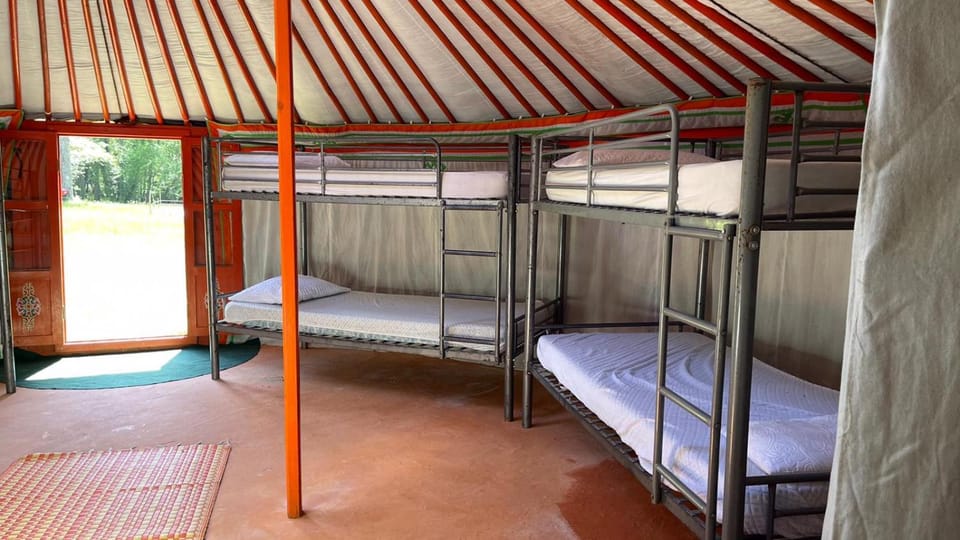 Bedroom, bunk bed