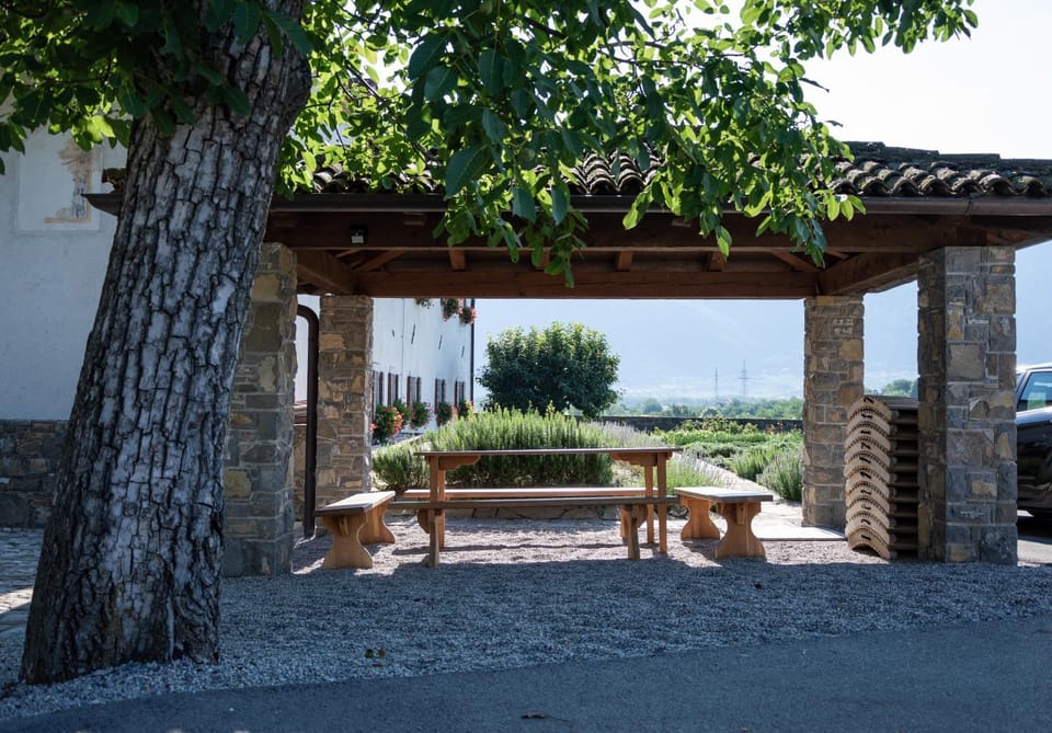 Patio, Garden